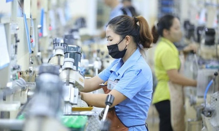 Chính sách hỗ trợ việc làm cho người lao động là thanh niên áp dụng từ ngày 1/1/2026