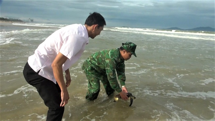 Người đàn ông phát hiện con vật quý hiếm nặng hơn 2,5kg mắc vào lưới đánh cá
