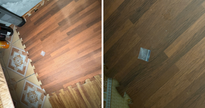 Bắt bảo vệ trường tiểu học ở Hải Phòng tổ chức 