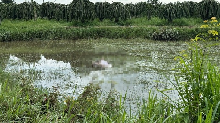 Lâm Đồng: Phát hiện người đàn ông tử vong dưới ruộng lúa