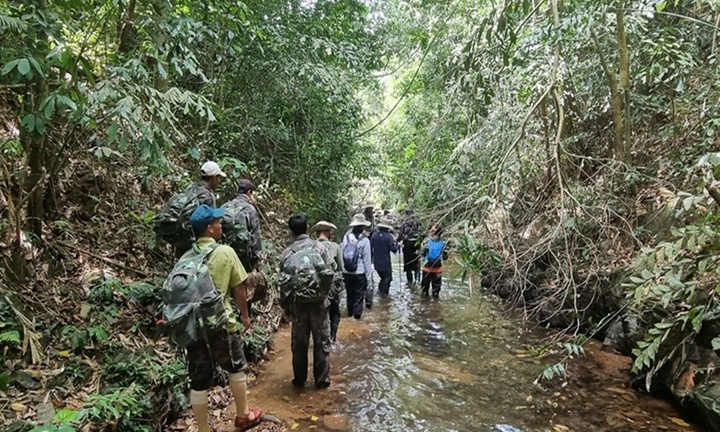 Hành trình vào rừng sâu gỡ 