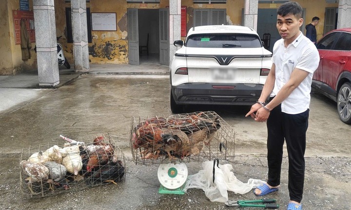 Bắt giữ Lê Khánh Thành - đối tượng trộm gần 40 con gà, ngan của người dân Hưng Yên