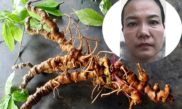 Bắt tạm giam nữ doanh nhân chiếm đoạt hơn 10 tỷ đồng