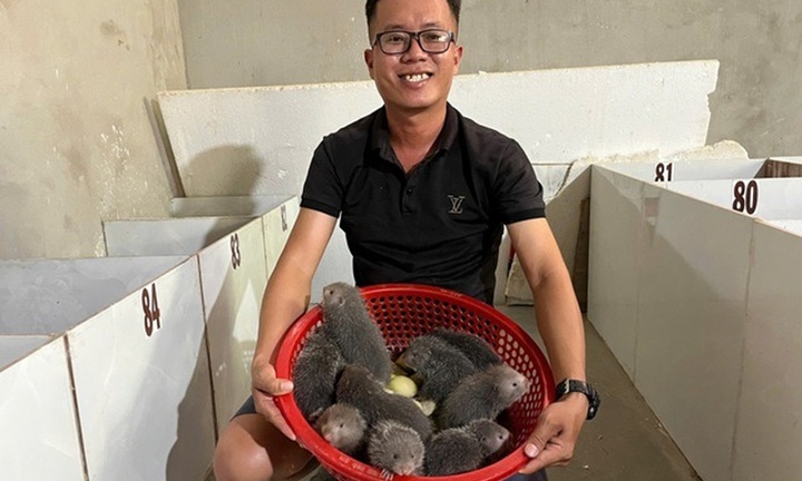 Chán cảnh cơ khí, kỹ sư 9X về quê xây ống gạch nuôi con vật