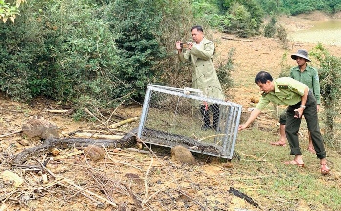 Phát hiện con vật 