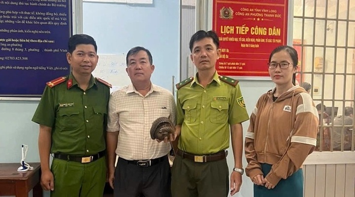 Phát hiện tê tê Java 