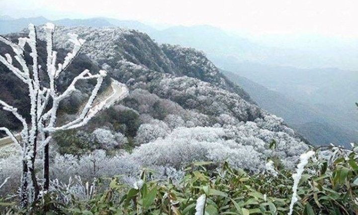 Tin tức không khí lạnh tăng cường, khu vực nào đón rét đậm?