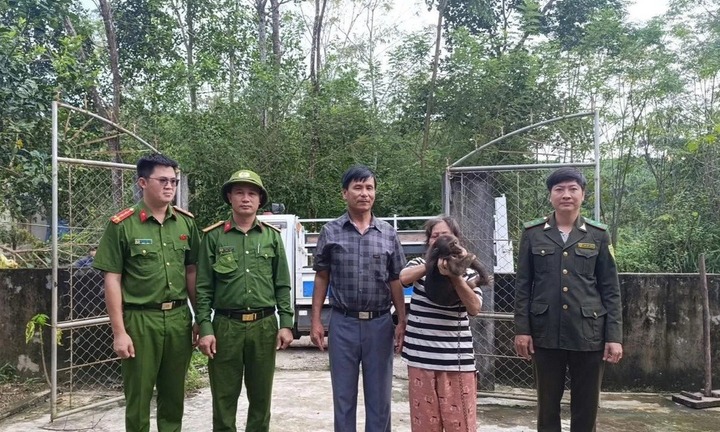 Phát hiện 2 cá thể quý hiếm, lắm lông đi lạc vào vườn nhà, người dân báo chính quyền