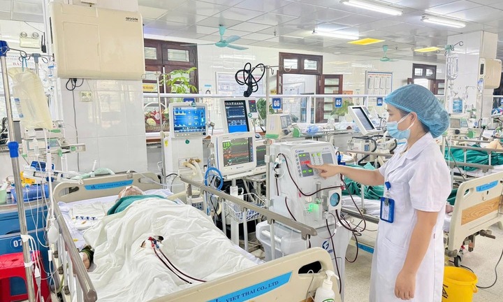 Tin tức đời sống 15/11: Làm vỡ tổ ong vò vẽ, người đàn ông bị ong đốt hơn 100 vết