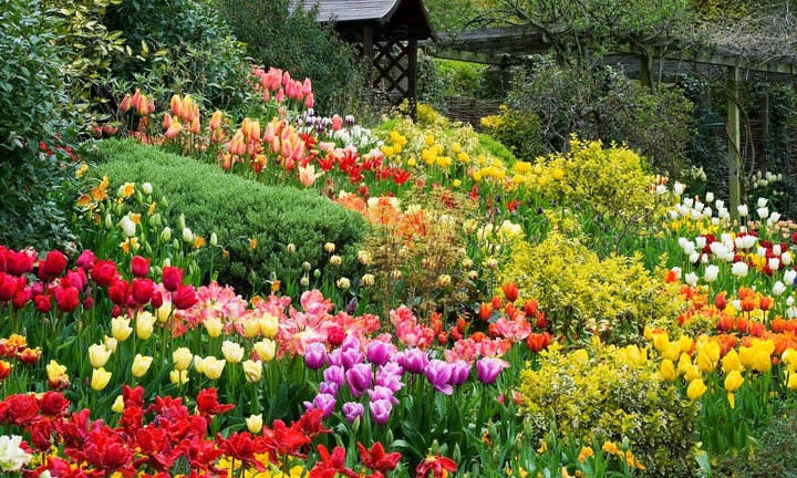 Ba làng hoa nổi tiếng Đà Lạt