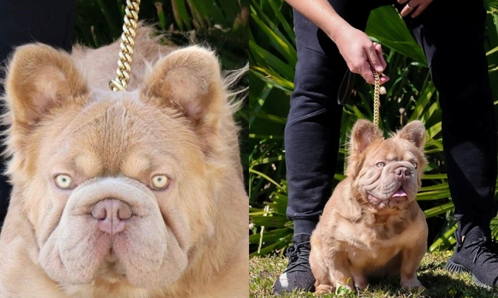 Ngỡ ngàng với vẻ đẹp 