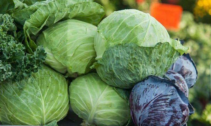 Những thực phẩm giúp chữa lành thận tự nhiên