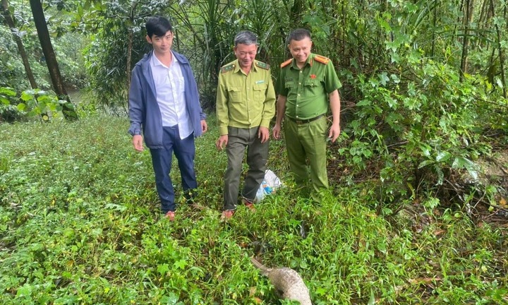 Người dân phát hiện con vật 