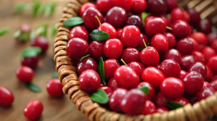 Điểm tên 5 loại trái cây nên ăn hàng ngày để giải độc gan, thận