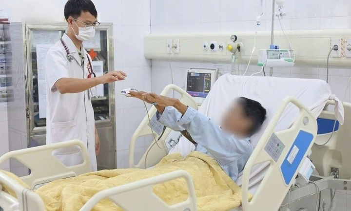 Người đàn ông ở Quảng Ninh rơi vào hôn mê sâu sau khi ăn cá nóc