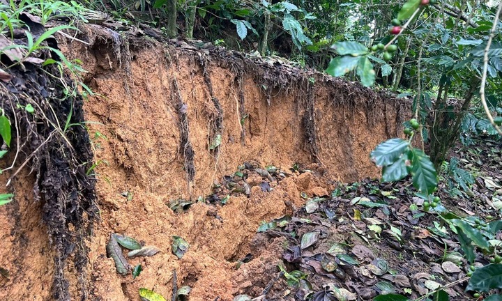 Mặt đất xuất hiện vết nứt chạy dài, Lâm Đồng sơ tán nhiều hộ dân khỏi vùng nguy hiểm