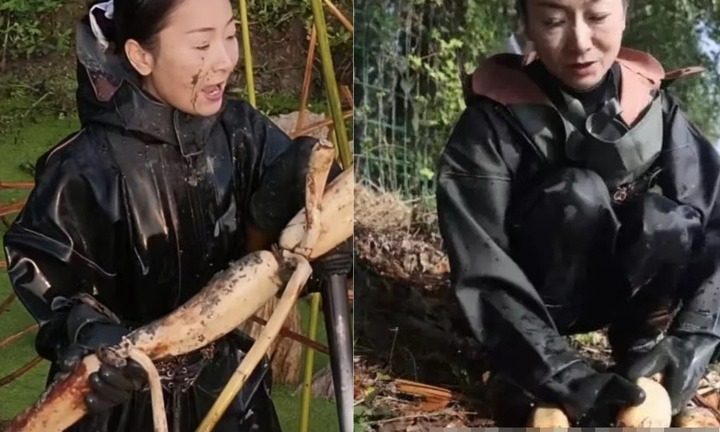 Vỡ nợ 18,5 tỷ sau một đêm, nữ đại gia phải bán biệt thự, xuống đầm làm thuê nuôi chồng