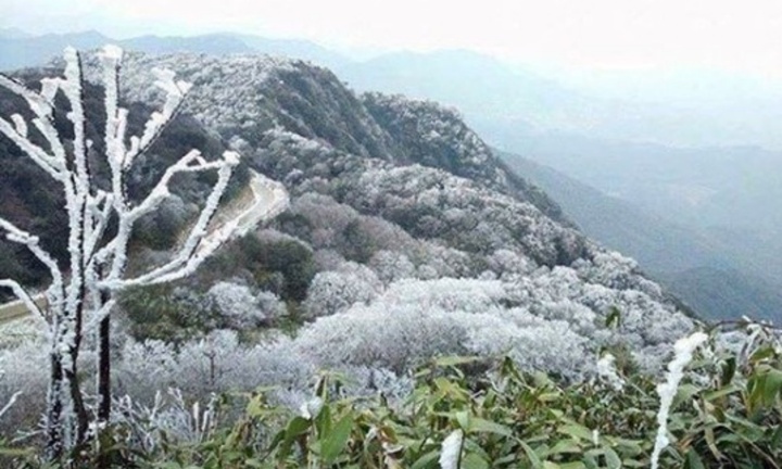 Cảnh báo Bắc Bộ đề phòng khả năng xảy ra sương muối do ảnh hưởng không khí lạnh