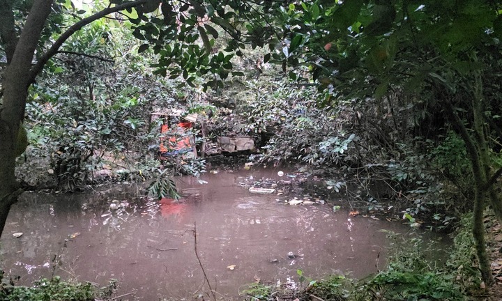 Điều tra nguyên nhân bé trai 5 tuổi tử vong dưới ao nước ở TP.HCM