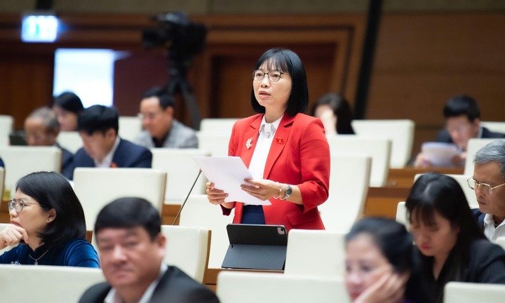 ĐBQH: Nhiều dự án số hóa đầu tư lớn nhưng hiệu quả thấp