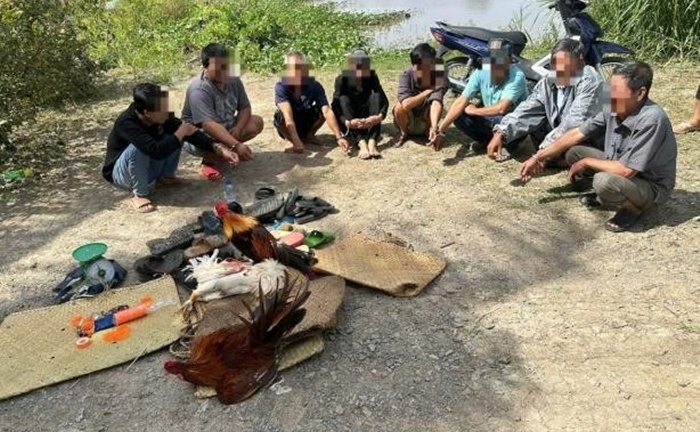 Tạm giữ 8 đối tượng có 