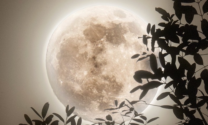 Rạng sáng 5/12, Việt Nam đón siêu trăng lạnh, khung giờ nào sẽ quan sát tốt nhất?