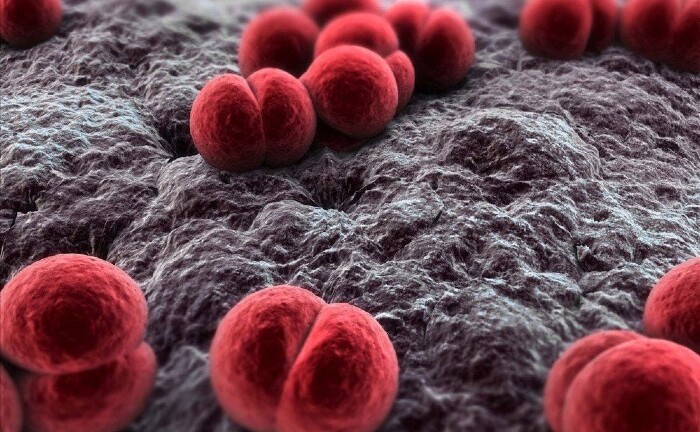 Thông tin mới về 21 ca F1 liên quan đến bệnh nhân mắc não mô cầu tử vong tại Thanh Hóa