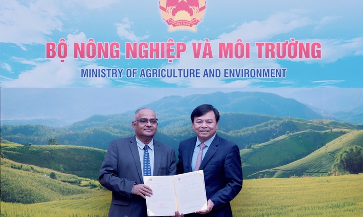 ADB hỗ trợ khẩn cấp 2 triệu USD giúp Việt Nam khắc phục hậu quả bão lũ