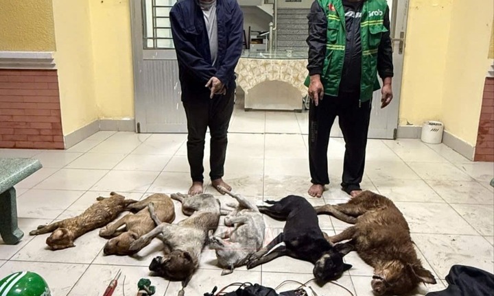 Hé lộ danh tính 2 kẻ trộm chó, mèo ở Tây Ninh vừa bị tạm giữ