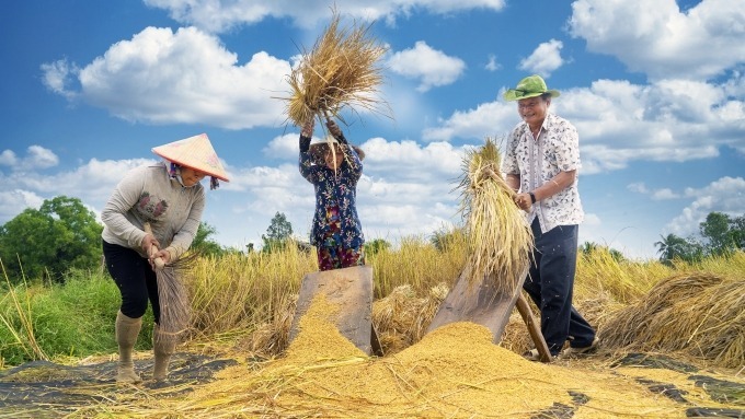 Lão nông 61 tuổi dành trọn 2,5 ha đất 