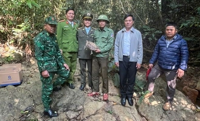 Phát hiện con vật 