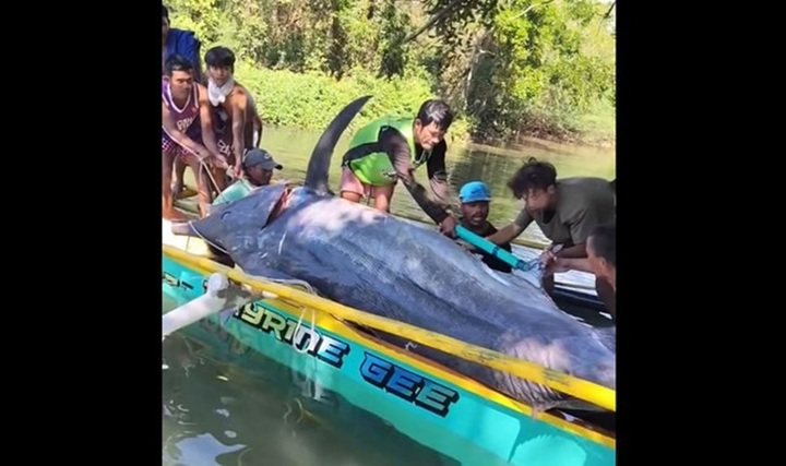 Clip: Bắt được cá 