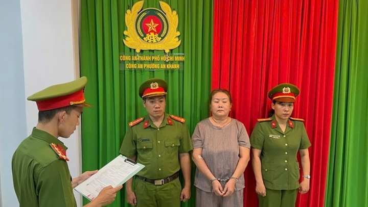 Khởi tố bị can, bắt tạm giam Đỗ Hồng Trinh