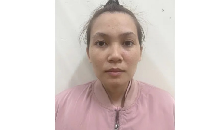 Công an Hà Nội bắt giữ Đinh Mộng Duy