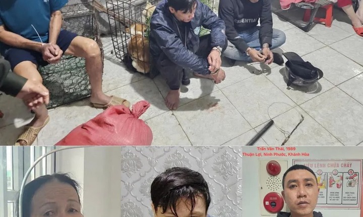 Khởi tố, bắt tạm giam Trần Văn Thái- đối tượng trộm chó ở Khánh Hòa