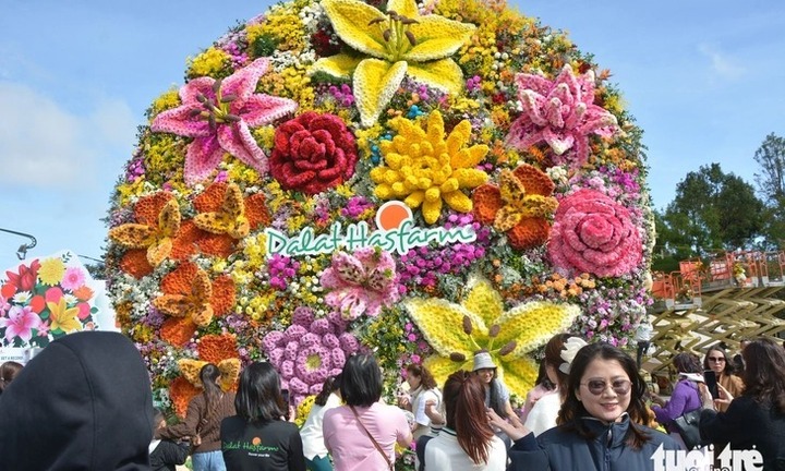 Clip: Cận cảnh bó hoa tươi nặng 10 tấn ở Đà Lạt xác lập kỷ lục Việt Nam