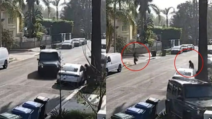 Clip: Màn trả đũa của nữ chủ nhà khiến băng trộm 