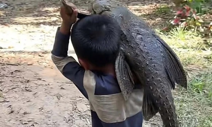 Clip: Cậu bé bắt được con cá có hình thù kỳ lạ, vác đi khắp làng, người dân hoảng hốt