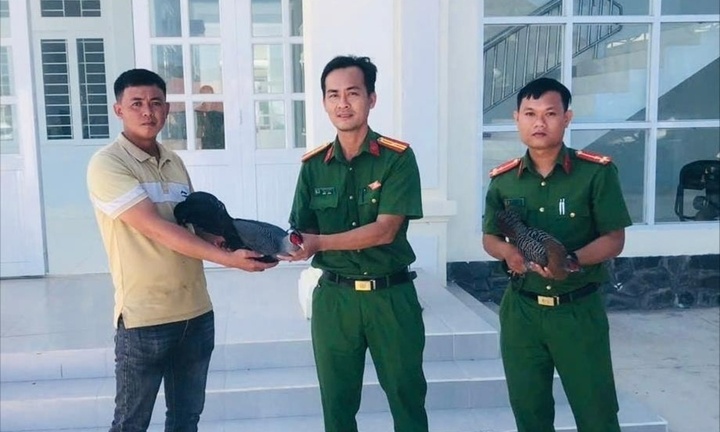 Phát hiện 