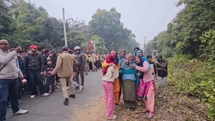 Đang thu gom củi, người phụ nữ 60 tuổi bất ngờ bị hổ dữ vồ tử vong