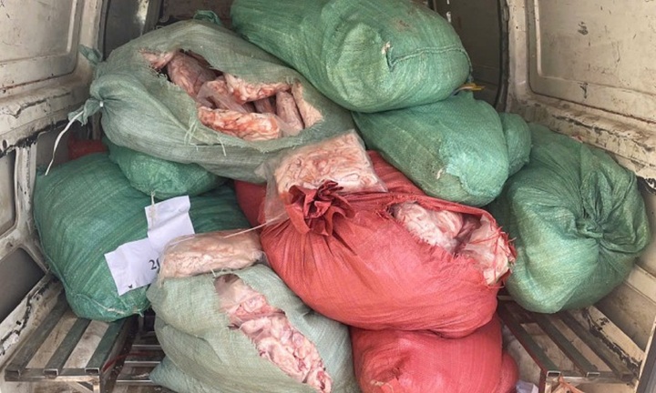 Phát hiện, tiêu hủy hơn 800kg chân gà bốc mùi chuẩn bị đưa ra thị trường