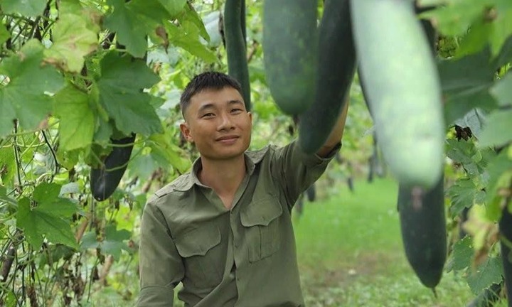 Bỏ phố thị, kỹ sư 9X về quê trồng thứ quả