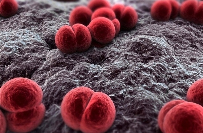 Căn bệnh được ví là 