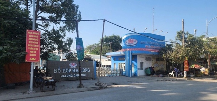 Bắt Tổng Giám đốc Công ty cổ phần đồ hộp Hạ Long