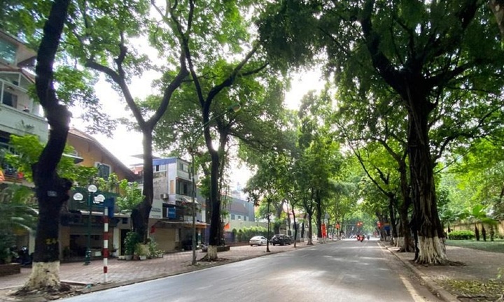 Tin tức dự báo thời tiết hôm nay 13/1: Bắc Bộ sáng sớm và đêm trời rét, vùng núi rét đậm