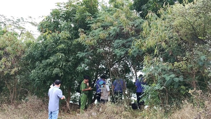 Diễn biến 
