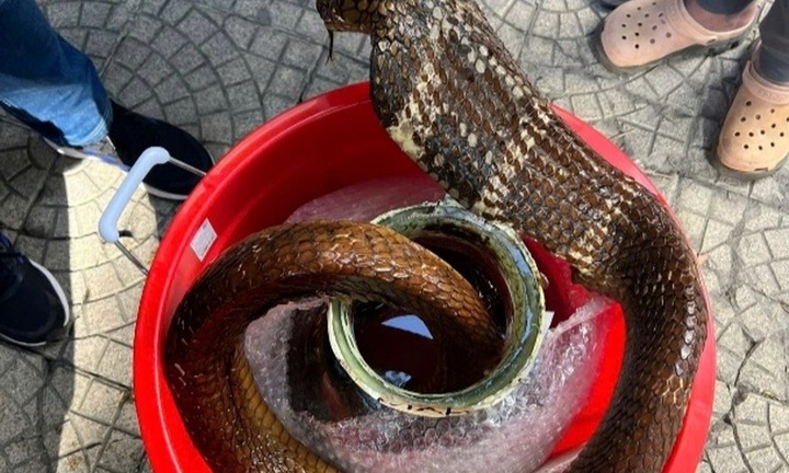 Khởi tố Phạm Duy Thuyết