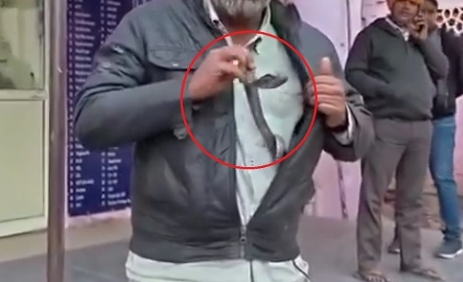 Clip: Bị rắn hổ mang cắn, nam tài xế có hành động khiến cả bệnh viện khiếp vía