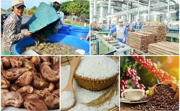 Xuất khẩu nông lâm thủy sản hướng mốc 73 - 74 tỷ USD năm 2026:  Thời cơ và thách thức phía sau những con số kỷ lục
