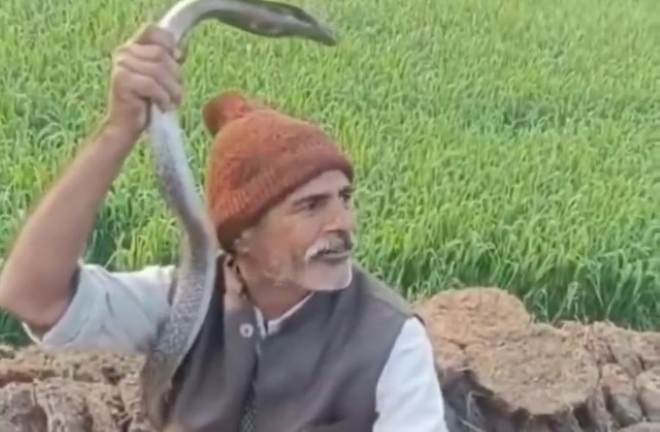 Clip: Khoe khoang bắt được rắn hổ mang trên đường, người đàn ông bị cắn tử vong